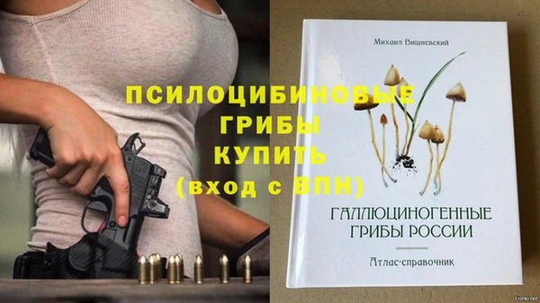 экстази Абаза
