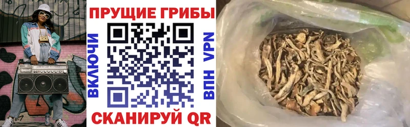 Псилоцибиновые грибы ЛСД  Кашира 